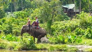 Koh Phangan Elefantenreiten gebucht mit Easy Day Samui