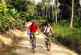 Full Day Samui Bicycle Tours - Lonely Roads