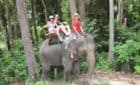 Elephant trekking Koh Phangan